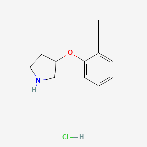 molecular formula C14H22ClNO B1441123 3-[2-(叔丁基)苯氧基]吡咯烷盐酸盐 CAS No. 1146956-94-6
