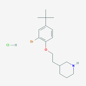 molecular formula C17H27BrClNO B1441127 3-{2-[2-溴-4-(叔丁基)苯氧基]-乙基}哌啶盐酸盐 CAS No. 1219961-16-6