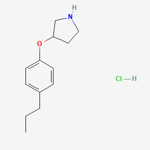 molecular formula C13H20ClNO B1441144 3-(4-Propylphenoxy)pyrrolidine hydrochloride CAS No. 1220029-40-2