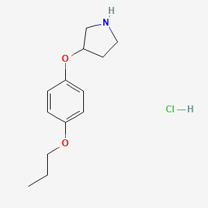 molecular formula C13H20ClNO2 B1441147 3-(4-Propoxyphenoxy)pyrrolidine hydrochloride CAS No. 1219972-59-4
