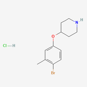 molecular formula C12H17BrClNO B1441156 4-(4-Bromo-3-methylphenoxy)piperidine hydrochloride CAS No. 1220021-61-3