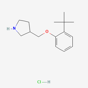 molecular formula C15H24ClNO B1441166 2-(tert-Butyl)phenyl 3-pyrrolidinylmethyl ether hydrochloride CAS No. 1146960-38-4