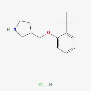 molecular formula C15H24ClNO B1441166 2-(叔丁基)苯基 3-吡咯烷基甲基醚盐酸盐 CAS No. 1146960-38-4