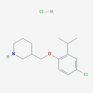molecular formula C15H23Cl2NO B1441170 3-[(4-Chloro-2-isopropylphenoxy)methyl]piperidine hydrochloride CAS No. 1220027-94-0