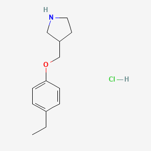 molecular formula C13H20ClNO B1441171 3-[(4-Ethylphenoxy)methyl]pyrrolidine hydrochloride CAS No. 1219982-26-9