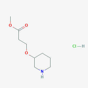 molecular formula C9H18ClNO3 B1441174 Methyl 3-(3-piperidinyloxy)propanoate hydrochloride CAS No. 1219979-50-6