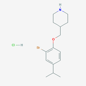 molecular formula C15H23BrClNO B1441179 4-[(2-Bromo-4-isopropylphenoxy)methyl]piperidine hydrochloride CAS No. 1220032-77-8
