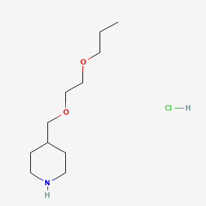 molecular formula C11H24ClNO2 B1441180 4-[(2-Propoxyethoxy)methyl]piperidine hydrochloride CAS No. 1220033-34-0