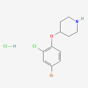 molecular formula C11H14BrCl2NO B1441181 4-(4-Bromo-2-chlorophenoxy)piperidine hydrochloride CAS No. 1219960-48-1