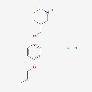 molecular formula C15H24ClNO2 B1441182 3-[(4-丙氧苯氧基)甲基]哌啶盐酸盐 CAS No. 1220037-52-4
