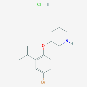 molecular formula C14H21BrClNO B1441184 3-(4-Bromo-2-isopropylphenoxy)piperidine hydrochloride CAS No. 1220032-71-2