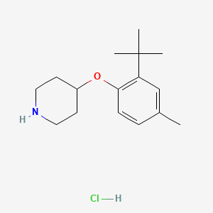 molecular formula C16H26ClNO B1441185 4-[2-(叔丁基)-4-甲基苯氧基]哌啶盐酸盐 CAS No. 1219979-38-0