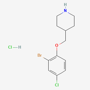 molecular formula C12H16BrCl2NO B1441196 4-[(2-溴-4-氯苯氧基)甲基]哌啶盐酸盐 CAS No. 1219972-49-2