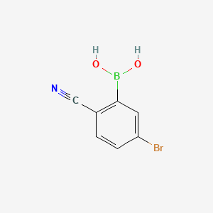 molecular formula C7H5BBrNO2 B1441203 5-溴-2-氰基苯硼酸 CAS No. 1032231-30-3