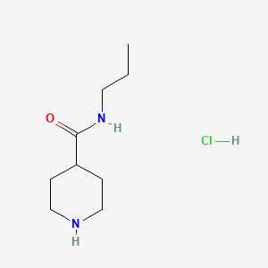 molecular formula C9H19ClN2O B1441330 N-丙基哌啶-4-甲酰胺盐酸盐 CAS No. 1220036-87-2
