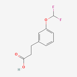 molecular formula C10H10F2O3 B1441350 3-[3-(二氟甲氧基)苯基]丙酸 CAS No. 1092460-66-6