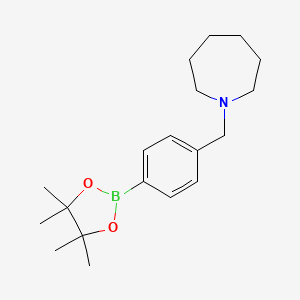 molecular formula C19H30BNO2 B1441403 1-{[4-(4,4,5,5-四甲基-1,3,2-二氧杂硼烷-2-基)苯基]甲基}氮杂环己烷 CAS No. 1315278-37-5