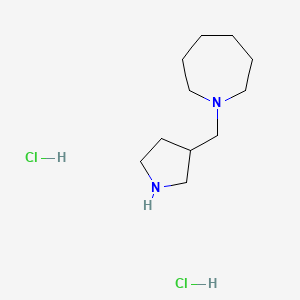molecular formula C11H24Cl2N2 B1441587 1-(3-吡咯烷基甲基)氮杂环己烷二盐酸盐 CAS No. 1219981-51-7