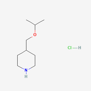 molecular formula C9H20ClNO B1441638 4-(异丙氧基甲基)哌啶盐酸盐 CAS No. 1211439-83-6