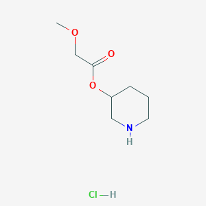 molecular formula C8H16ClNO3 B1441662 3-Piperidinyl 2-methoxyacetate hydrochloride CAS No. 1220031-57-1