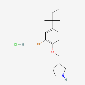 molecular formula C16H25BrClNO B1441664 3-{[2-溴-4-(叔戊基)苯氧基]-甲基}吡咯烷盐酸盐 CAS No. 1220030-70-5