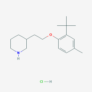 molecular formula C18H30ClNO B1441666 3-{2-[2-(Tert-butyl)-4-methylphenoxy]-ethyl}piperidine hydrochloride CAS No. 1219964-41-6