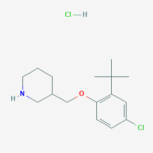 molecular formula C16H25Cl2NO B1441671 3-{[2-(Tert-butyl)-4-chlorophenoxy]-methyl}piperidine hydrochloride CAS No. 1220016-70-5