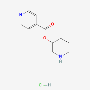 molecular formula C11H15ClN2O2 B1441674 3-Piperidinyl isonicotinate hydrochloride CAS No. 1219949-50-4