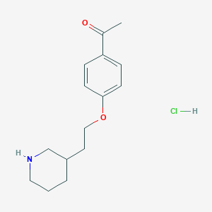 molecular formula C15H22ClNO2 B1441684 1-{4-[2-(3-哌啶基)乙氧基]苯基}-1-乙酮盐酸盐 CAS No. 1219968-14-5