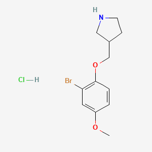 molecular formula C12H17BrClNO2 B1441693 2-溴-4-甲氧苯基 3-吡咯烷基甲基醚盐酸盐 CAS No. 1219956-82-7
