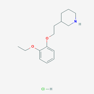 molecular formula C15H24ClNO2 B1441696 3-[2-(2-Ethoxyphenoxy)ethyl]piperidine hydrochloride CAS No. 1219981-50-6