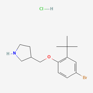 molecular formula C15H23BrClNO B1441701 4-溴-2-(叔丁基)苯基 3-吡咯烷基甲基醚盐酸盐 CAS No. 1219948-96-5