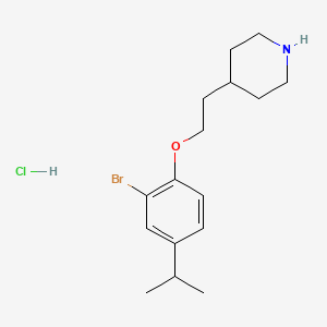 molecular formula C16H25BrClNO B1441702 4-[2-(2-Bromo-4-isopropylphenoxy)ethyl]piperidine hydrochloride CAS No. 1219948-98-7