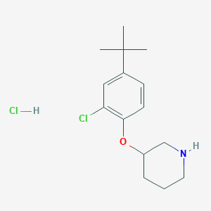 molecular formula C15H23Cl2NO B1441709 3-[4-(tert-Butyl)-2-chlorophenoxy]piperidine hydrochloride CAS No. 1220032-88-1