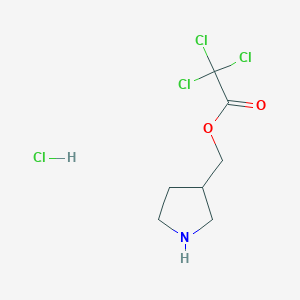 molecular formula C7H11Cl4NO2 B1441769 3-Pyrrolidinylmethyl 2,2,2-trichloroacetate hydrochloride CAS No. 1220031-72-0
