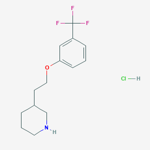 molecular formula C14H19ClF3NO B1441788 3-{2-[3-(Trifluoromethyl)phenoxy]ethyl}piperidine hydrochloride CAS No. 1219949-36-6