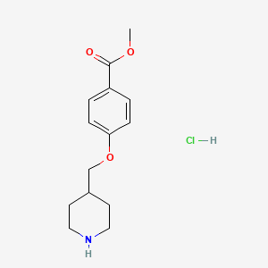 molecular formula C14H20ClNO3 B1441807 Methyl 4-(4-piperidinylmethoxy)benzoate hydrochloride CAS No. 1219963-77-5