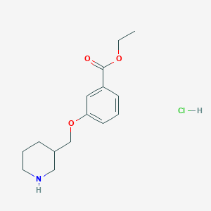 molecular formula C15H22ClNO3 B1441814 Ethyl 3-(3-piperidinylmethoxy)benzoate hydrochloride CAS No. 1220027-82-6