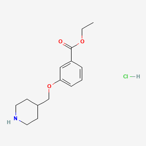 molecular formula C15H22ClNO3 B1441815 Ethyl 3-(4-piperidinylmethoxy)benzoate hydrochloride CAS No. 1219960-86-7