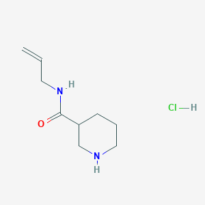 molecular formula C9H17ClN2O B1441996 N-烯丙基-3-哌啶甲酰胺盐酸盐 CAS No. 1220027-49-5