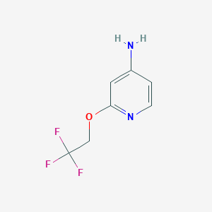 molecular formula C7H7F3N2O B1442096 2-(2,2,2-Trifluoroethoxy)pyridin-4-amine CAS No. 1247075-58-6