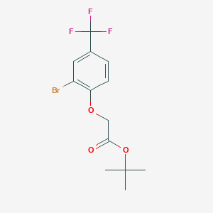 molecular formula C13H14BrF3O3 B1442299 Tert-butyl (2-bromo-4-trifluoromethylphenoxy)acetate CAS No. 779331-60-1