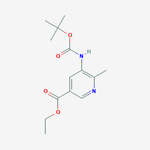 molecular formula C14H20N2O4 B1442425 Ethyl 5-((tert-butoxycarbonyl)amino)-6-methylnicotinate CAS No. 936801-42-2