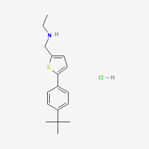 molecular formula C17H24ClNS B1442453 {[5-(4-Tert-butylphenyl)thiophen-2-yl]methyl}(ethyl)amine hydrochloride CAS No. 1315368-49-0
