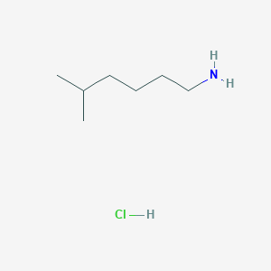 molecular formula C7H18ClN B1442498 5-甲基己胺盐酸盐 CAS No. 1333628-05-9