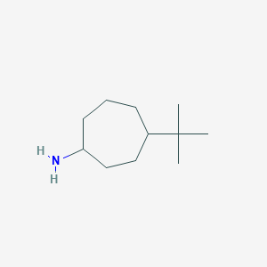 molecular formula C11H23N B1442514 4-Tert-butylcycloheptan-1-amine CAS No. 1465599-56-7