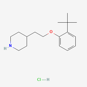 molecular formula C17H28ClNO B1442611 4-{2-[2-(叔丁基)苯氧基]乙基}哌啶盐酸盐 CAS No. 1146960-36-2