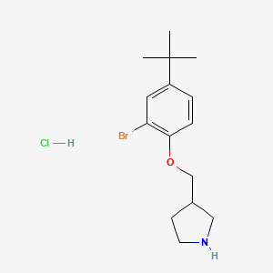 molecular formula C15H23BrClNO B1442783 2-Bromo-4-(tert-butyl)phenyl 3-pyrrolidinylmethyl-ether hydrochloride CAS No. 1219948-97-6