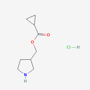 molecular formula C9H16ClNO2 B1442846 3-Pyrrolidinylmethyl cyclopropanecarboxylate hydrochloride CAS No. 1219980-71-8