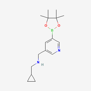 molecular formula C16H25BN2O2 B1442988 1-cyclopropyl-N-((5-(4,4,5,5-tetramethyl-1,3,2-dioxaborolan-2-yl)pyridin-3-yl)methyl)methanamine CAS No. 919347-13-0